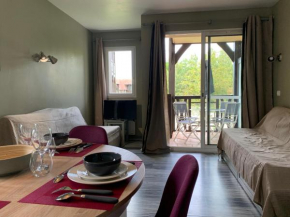 Douchka - Appartement Piscine Parking -